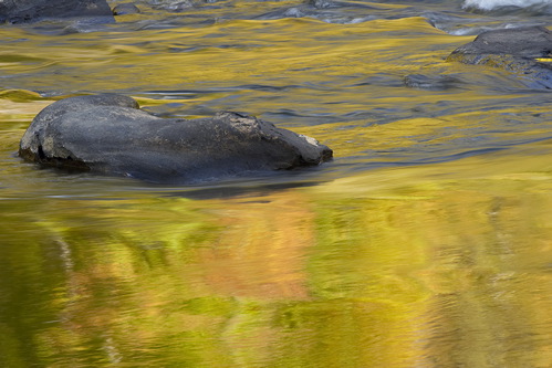 Textures;Shapes;Patterns;Abstractions;Abstract;Reflections;Reflection;Plant;Trunk;Bark;Leafy;Branches;Branch;Woodland;Herbaceous;Shrub;Bush;Trees;Tree Trunk;Brook;Creek;Rivulet;Streamlet;Stream;Rivers;River;Riverbed;Water;Flowing;waterway;stream;creek;brook